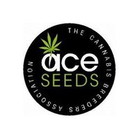 ACE Seeds