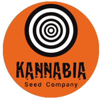 Kannabia_Seeds