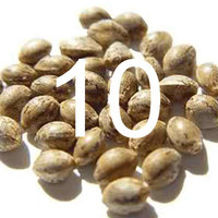 10 seeds
