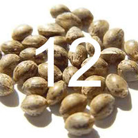 12 seeds