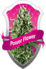 Power Flower fem