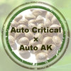 Auto Critical x Auto AK