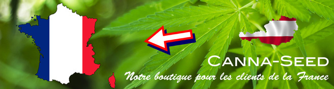 Notre-boutique-special-pour-les-clients-de-la-France-graines de cannabis